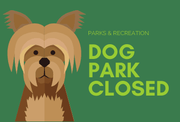 picture of a dog on a green background