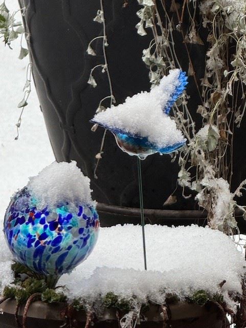 Snow Day in Pelham January 10, 2024