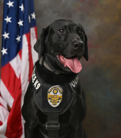 K9 Thunder (1)